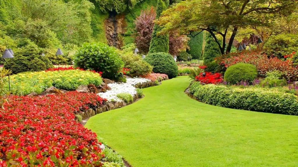 7 Different Types Of Gardens Names And Features