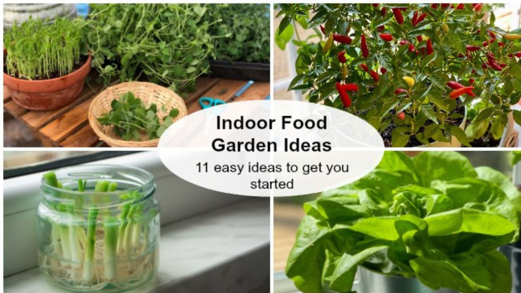 Tips To Grow Your Own Indoor Vegetable Garden 2