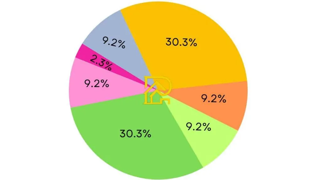 Detergent pie chart