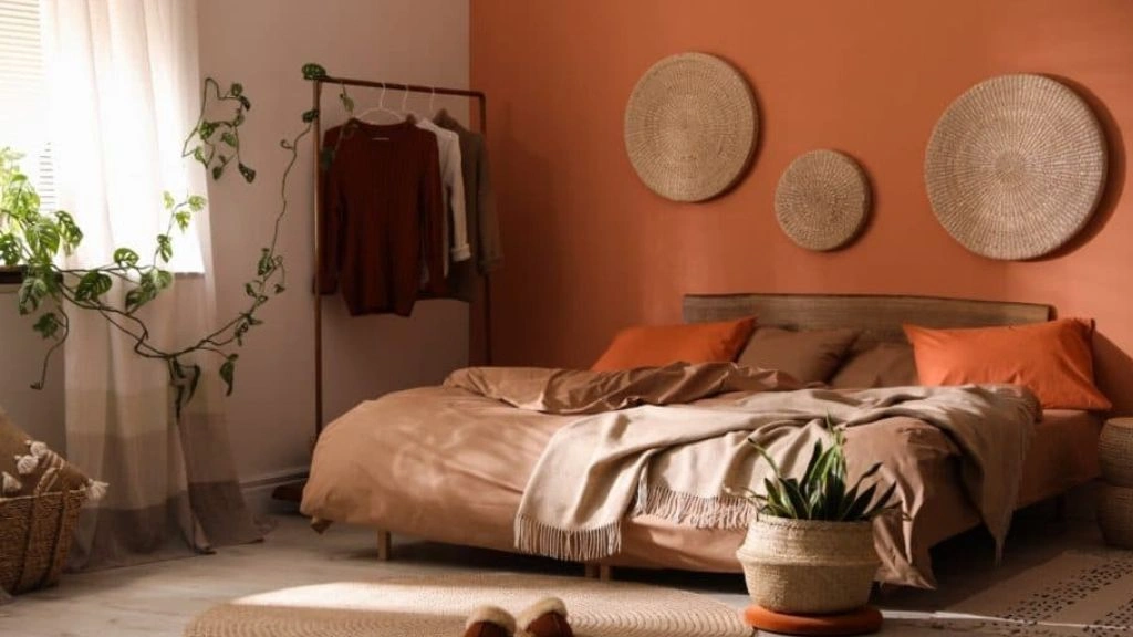 Earthy Warmth Terracotta and Cream