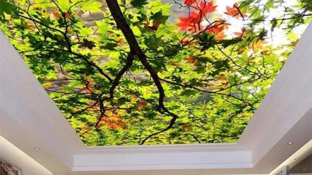 Skylight Illusion