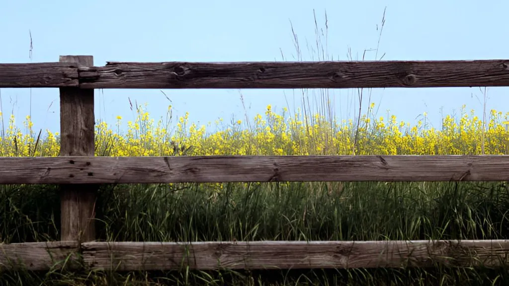 Field Fence