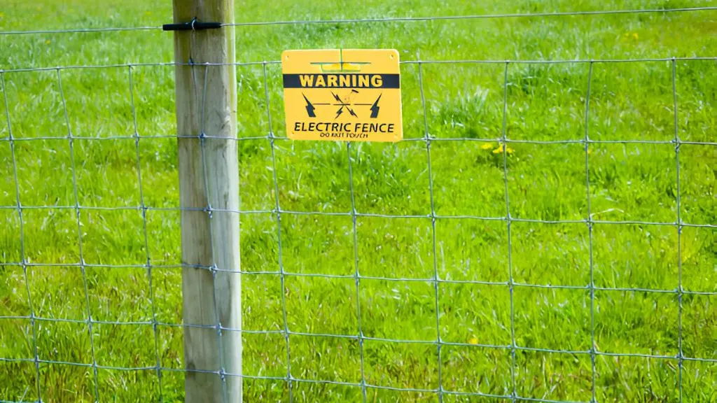 Electric Wire Fence