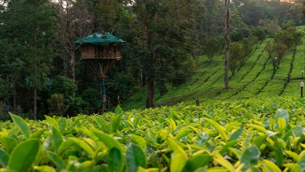 Types of Gardens -Herbal Gardens