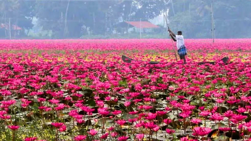 Types of Gardens -Water Gardens