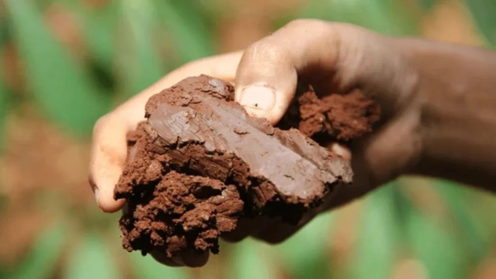 Clay Soil - Different Types Of Soil In India