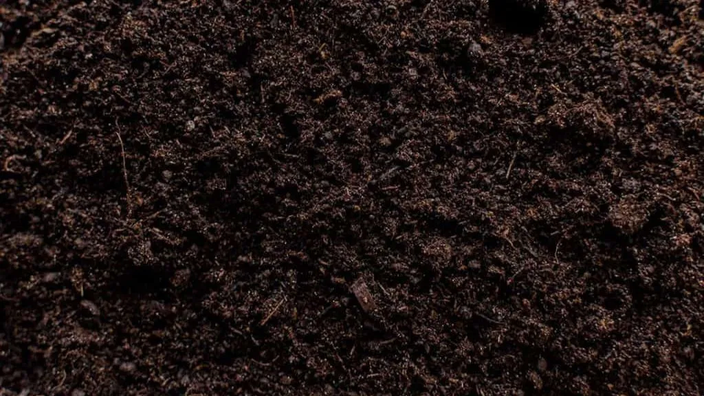 Peaty Soil- Different Types Of Soil In India