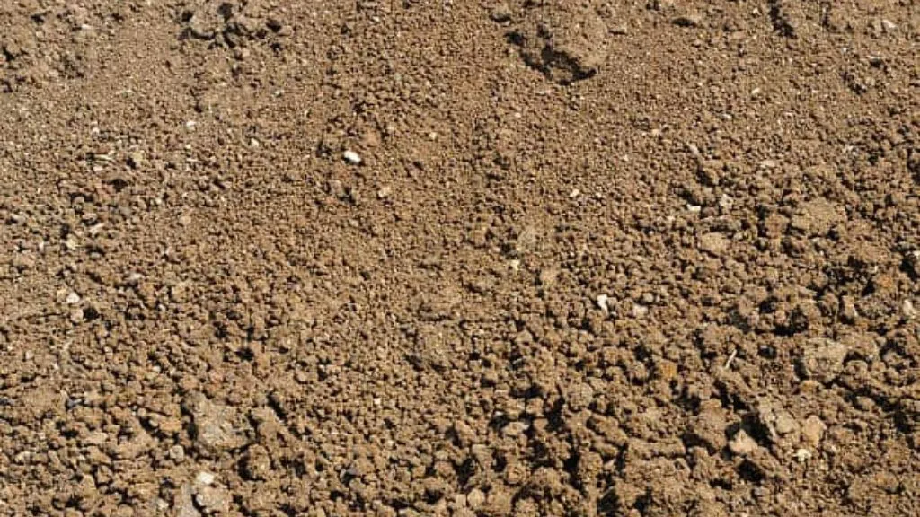 Silty Soil- Different Types Of Soil In India