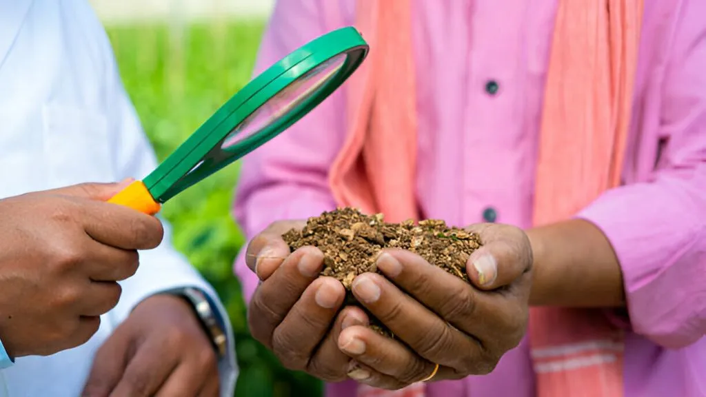 Testing the soil to know the type