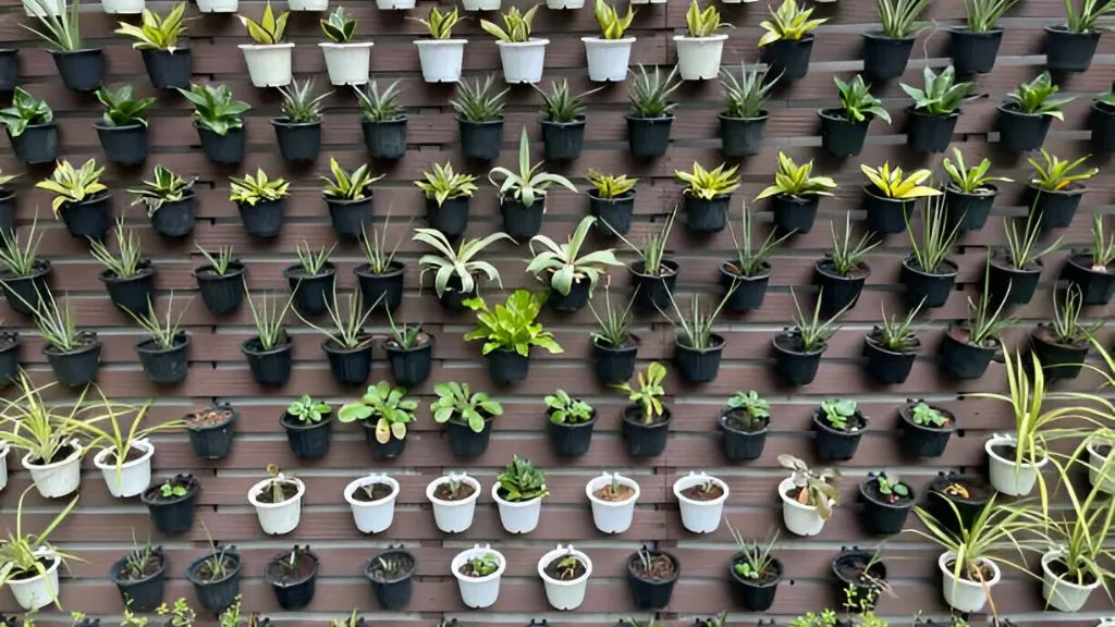 Vertical Garden Planters